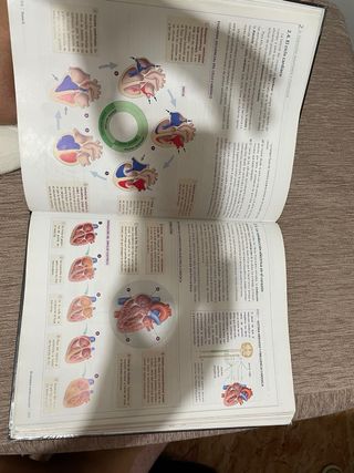 ANATOMIA APLICADA (AULA 3D)