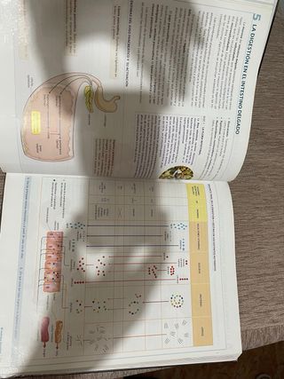 ANATOMIA APLICADA (AULA 3D)