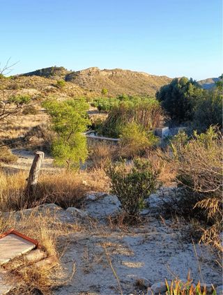 Casa de campo con terreno de 2,2 hectáreas