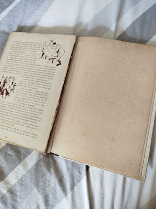 Más historias de Antoñita la fantástica