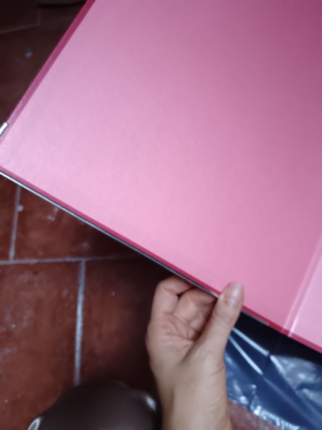 Carpetas clasificadoras con caja