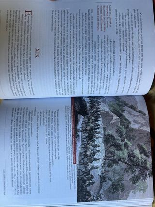 LA BATALLA DE LOS ARAPILES