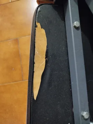 Gimnasio, maquina de pesas, entrena y ponte cachas