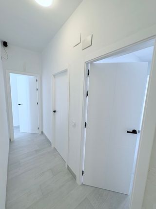 Carpintero montador profesional