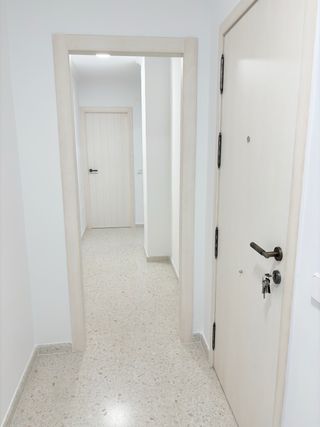 Carpintero montador profesional