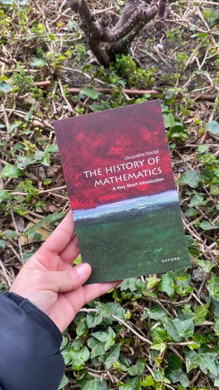 The History of Mathematics: A Very Short Introd...