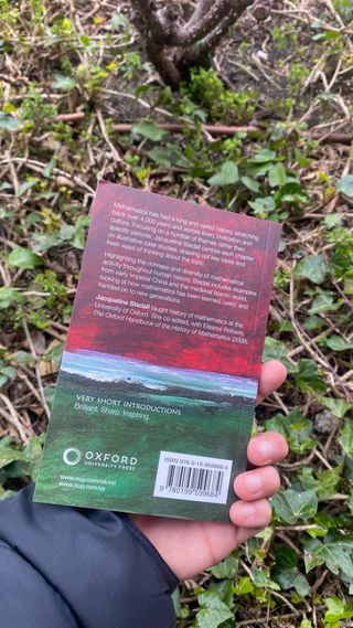 The History of Mathematics: A Very Short Introd...