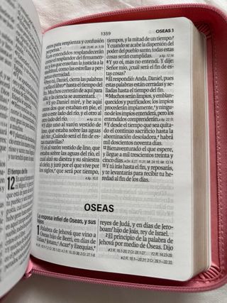 Biblia RVR 1960 letra grande