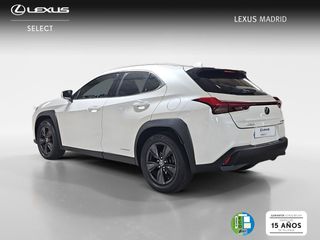 Lexus UX 2.0 250h Business