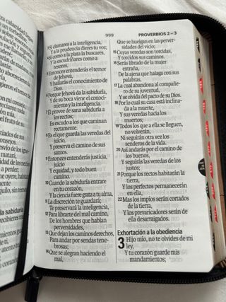 Biblia RVR 1960 letra grande