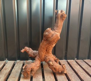 Raíz/tronco Decoración acuario OFERTA SOLO HOY!