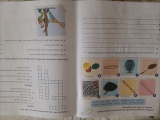 Cambridge Natural Science Primaria 4 Activit Book