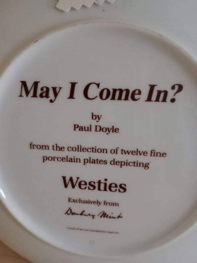 Plato decorativo porcelana.