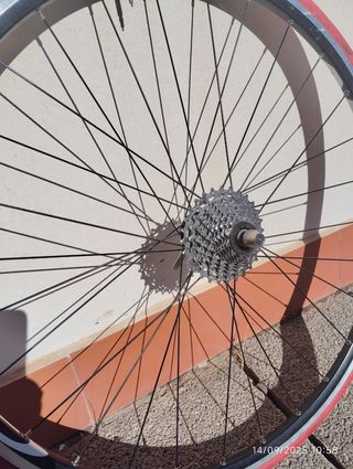 Rodillo de entrenamiento para bicicleta