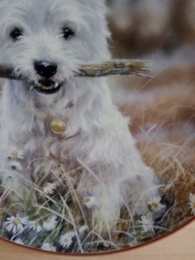 Plato decorativo porcelana perro