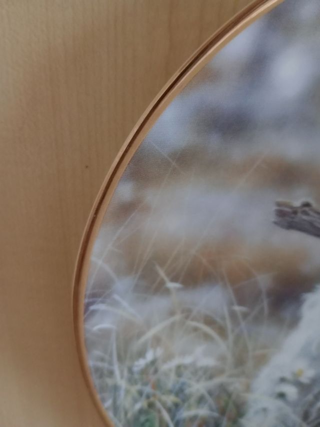 Plato decorativo porcelana perro