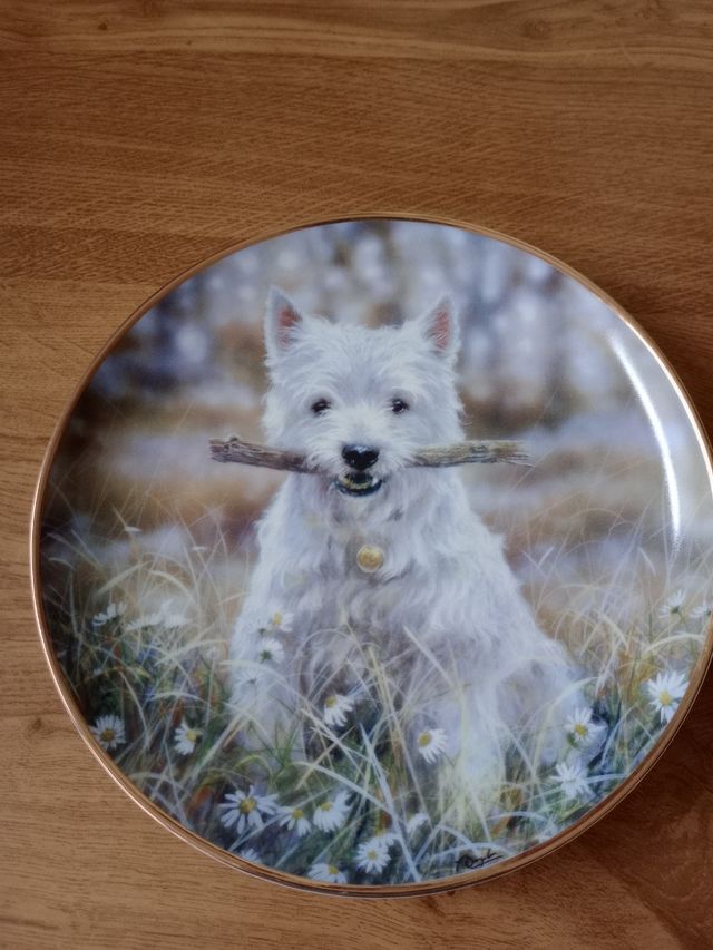 Plato decorativo porcelana perro