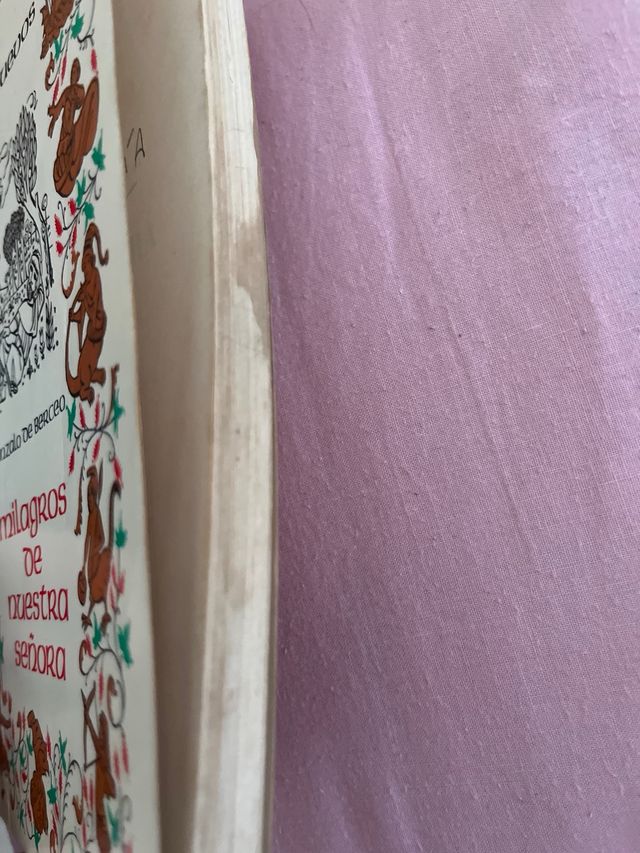 MILAGROS DE NUESTRA SEÑORA