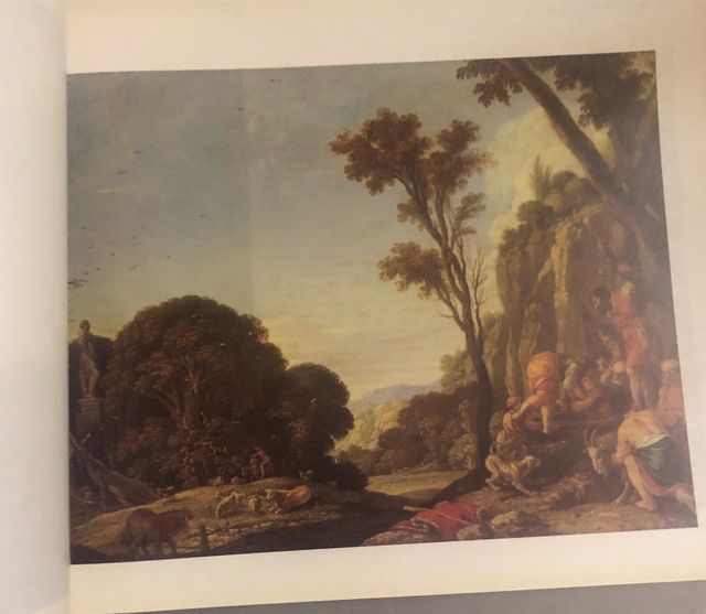 Libro d'arte: L'età d'oro del paesaggio olandese