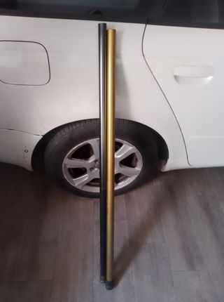 Dos cañas pardilleras