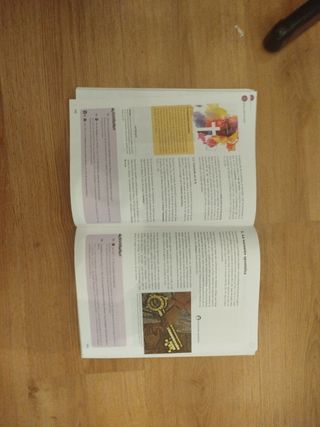 Nueva Evangelización 2 ESO (2016)