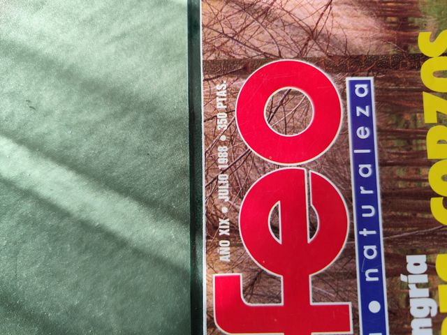 Revista de caza Trofeo