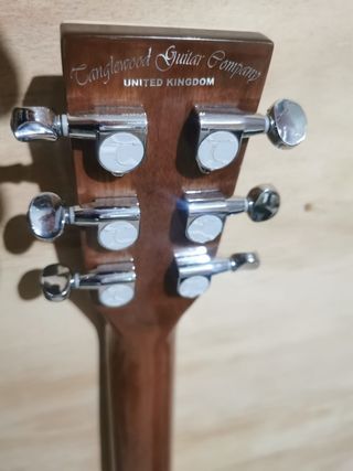 Guitarra Acústica Tanglewood Evolution + cmplntos