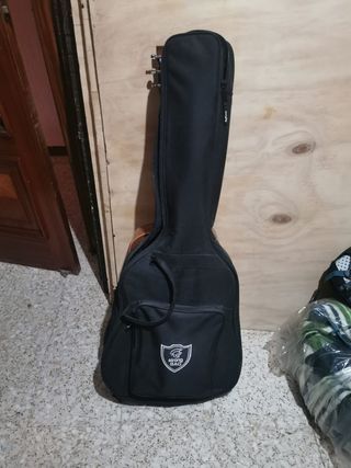 Guitarra Acústica Tanglewood Evolution + cmplntos