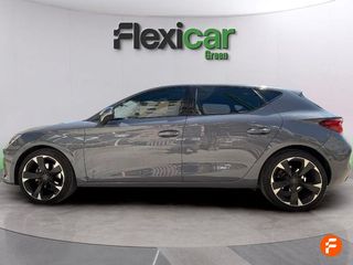 Cupra León SP 1.5 eTSI 110kW (150CV) DSG