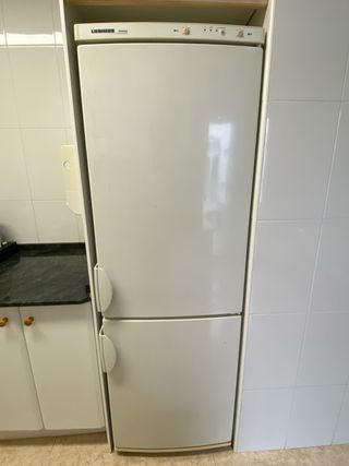 Nevera Liebherr Economy Blanca
