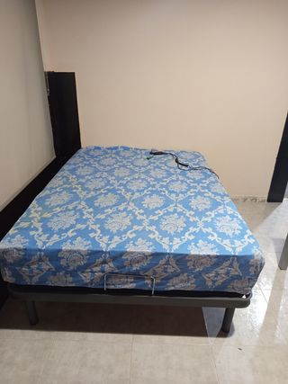 Cama eléctrica articulada