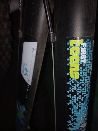 Bicicleta First Teens 24