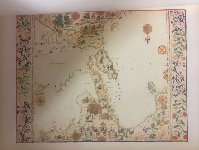 Libro «Mappe del mondo» di Roderick Barron.