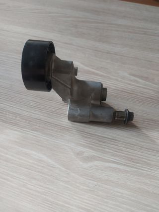 Tensor Correa INA 534010020 PSA