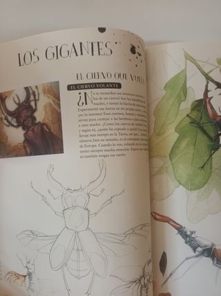 Museo vivo de los insectos