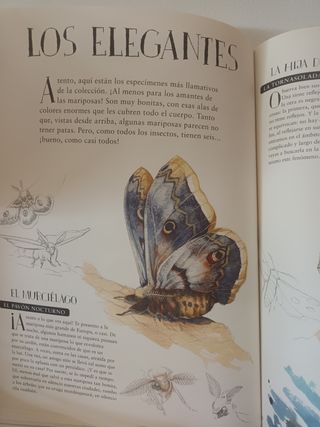 Museo vivo de los insectos