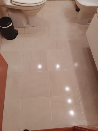 Limpieza profesional y desinfección en Valencia