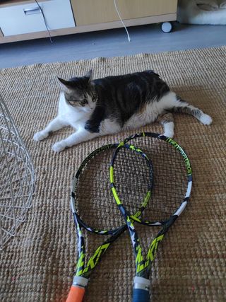 2 Raquetas Babolat Pure Aero Team
Cada 1 130€