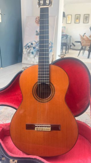 Guitarra de Concierto