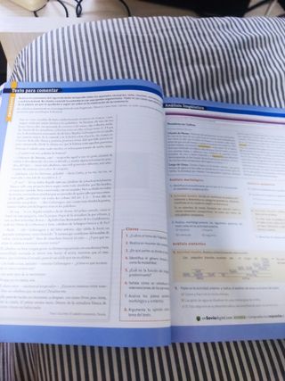 Lengua castellana y literatura. 1 Bachillerato....