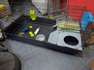 Jaula para conejo y accesorios