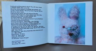 Sonic Youth - "Dirty"