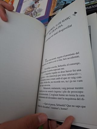 UN BRIVALL SOTA EL TELO (Catalan Edition)