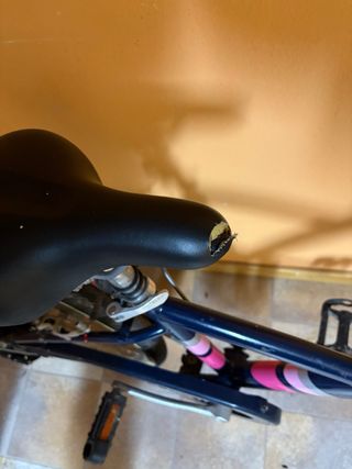 Bicicleta 24” BT win Mujer/Niña rosa Azul