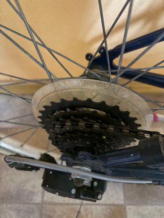 Bicicleta 24” BT win Mujer/Niña rosa Azul