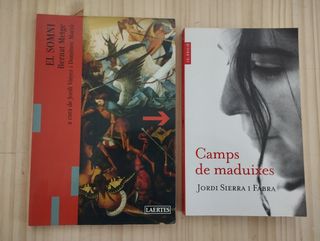 Lote de 22 libros en catalán y castellano