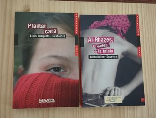 Lote de 22 libros en catalán y castellano