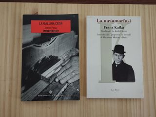 Lote de 22 libros en catalán y castellano