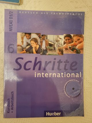 Libro Schritte International 6