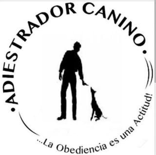 ADIESTRADOR CANINO
